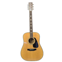 Guitar Morris Tf-801