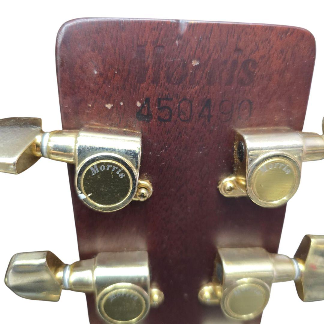 Guitar Morris Tf-801
