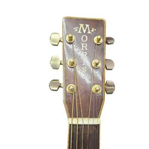 Guitar Morris Tf-801