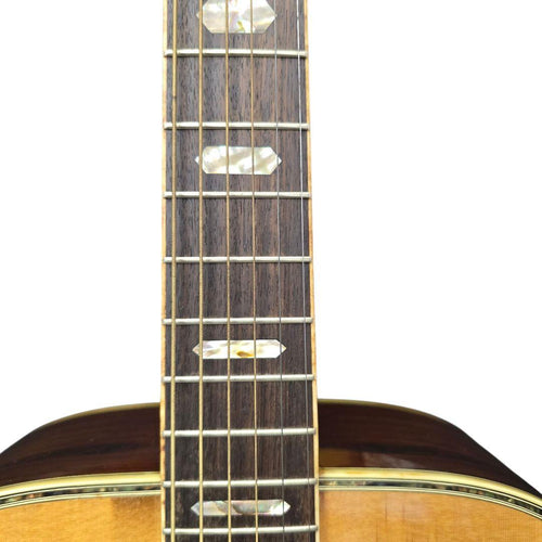 Guitar Morris Tf-801