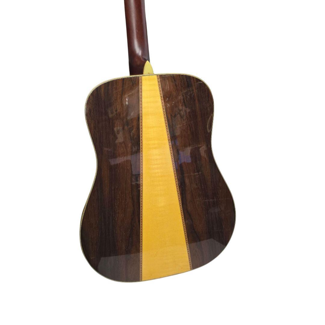 Guitar Morris Tf-801