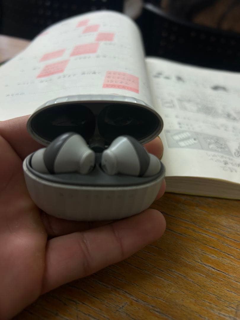 Earphone Case Gray