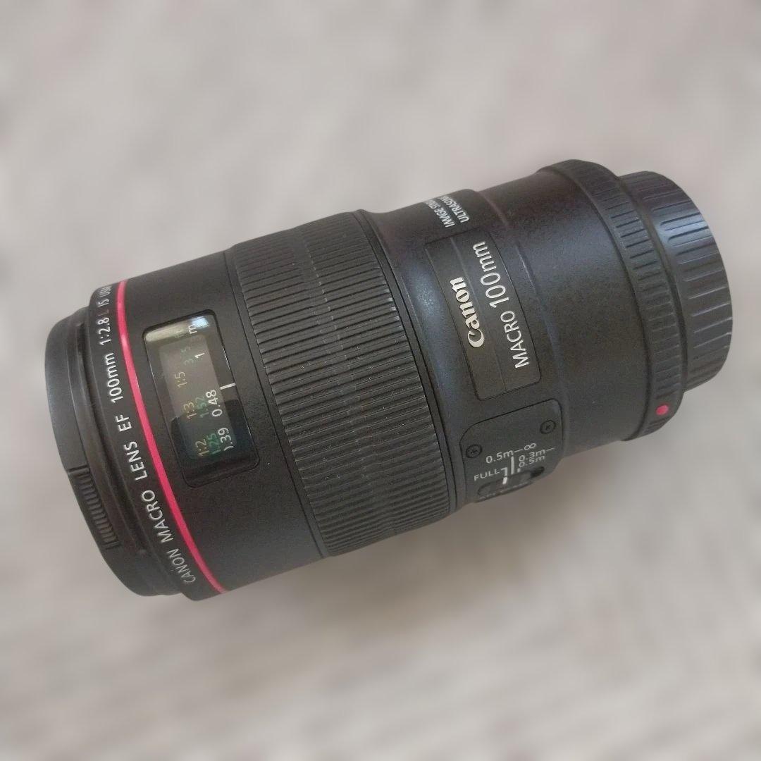 Canon Digital Slrs Ef F/2.8L Is Usm