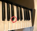 Roland Keyboards Digital Pianos Xp-10