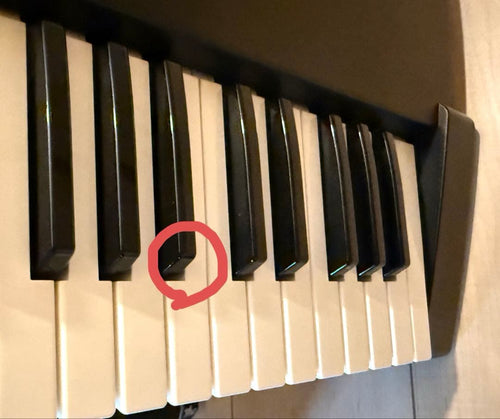 Roland Keyboards Digital Pianos Xp-10