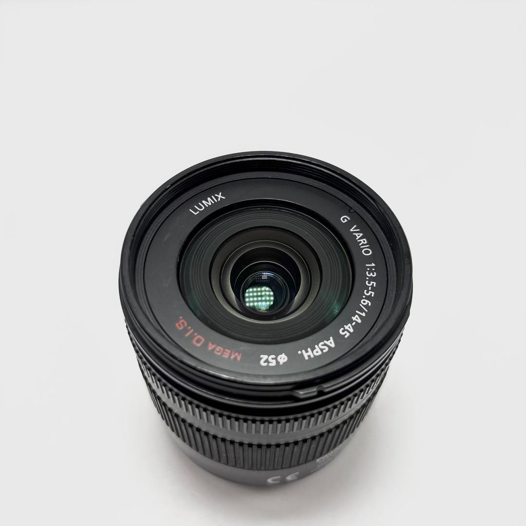 Panasonic Mirrorless Interchangeable Lips Lumix Dmc-G1