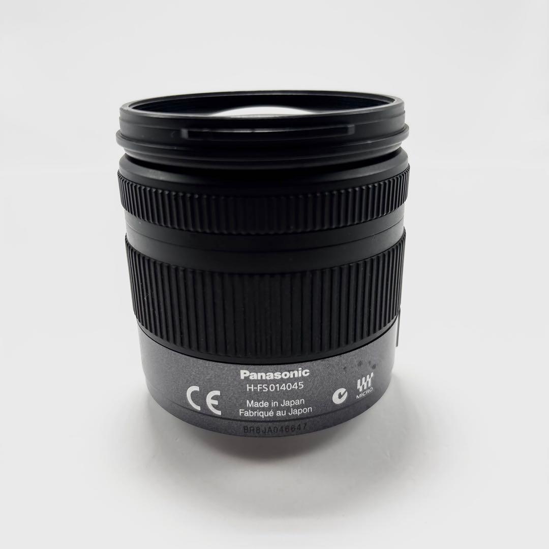 Panasonic Mirrorless Interchangeable Lips Lumix Dmc-G1