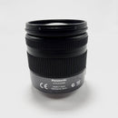 Panasonic Mirrorless Interchangeable Lips Lumix Dmc-G1