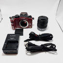 Panasonic Mirrorless Interchangeable Lips Lumix Dmc-G1