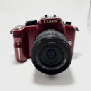 Panasonic Mirrorless Interchangeable Lips Lumix Dmc-G1