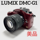 Panasonic Mirrorless Interchangeable Lips Lumix Dmc-G1