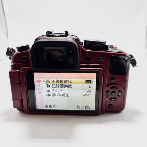 Panasonic Mirrorless Interchangeable Lips Lumix Dmc-G1
