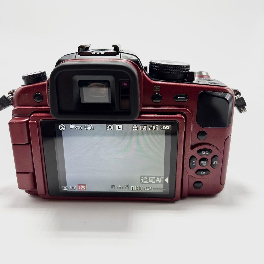 Panasonic Mirrorless Interchangeable Lips Lumix Dmc-G1