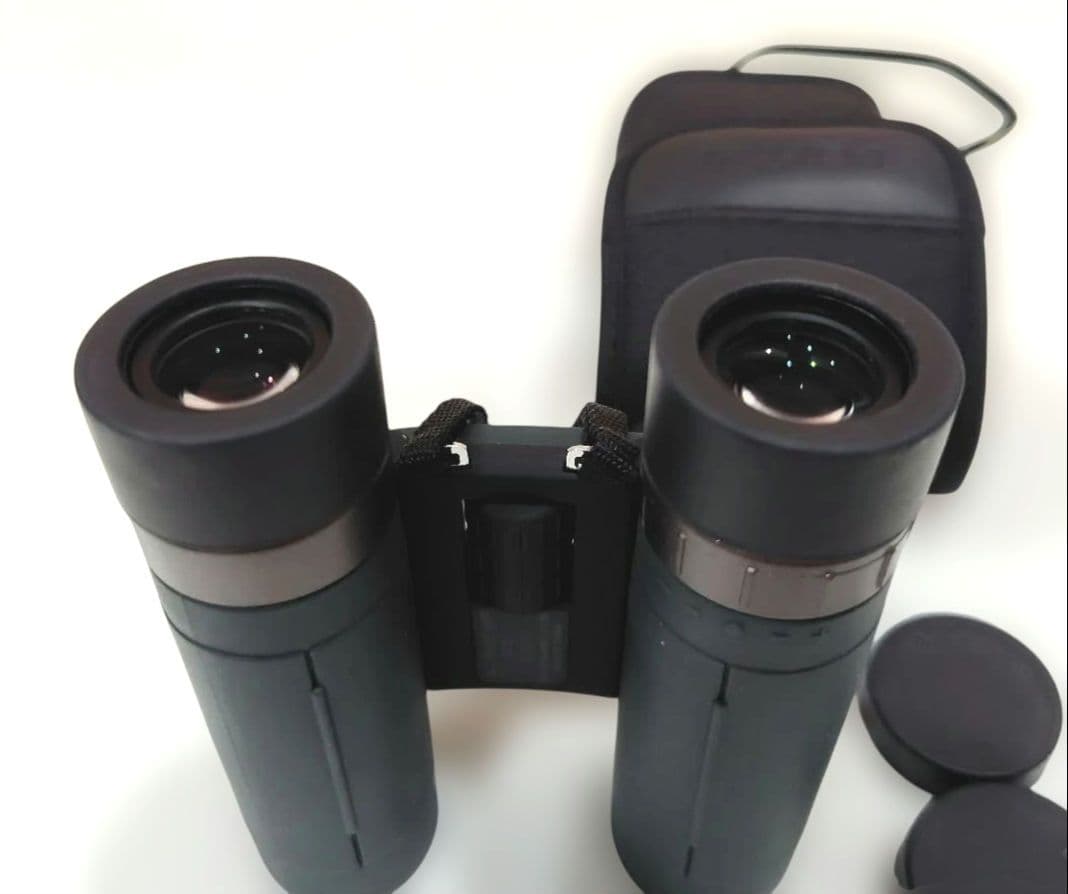 Pentax Binoculars Opera Glasses Ad 8 25 Wp 5.5