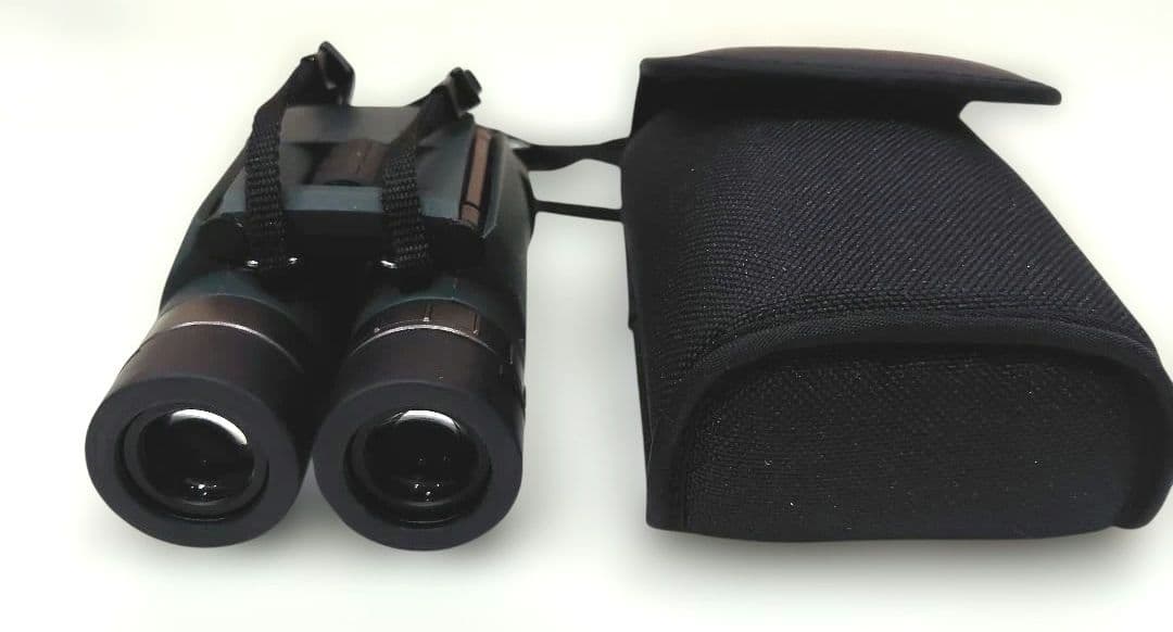 Pentax Binoculars Opera Glasses Ad 8 25 Wp 5.5