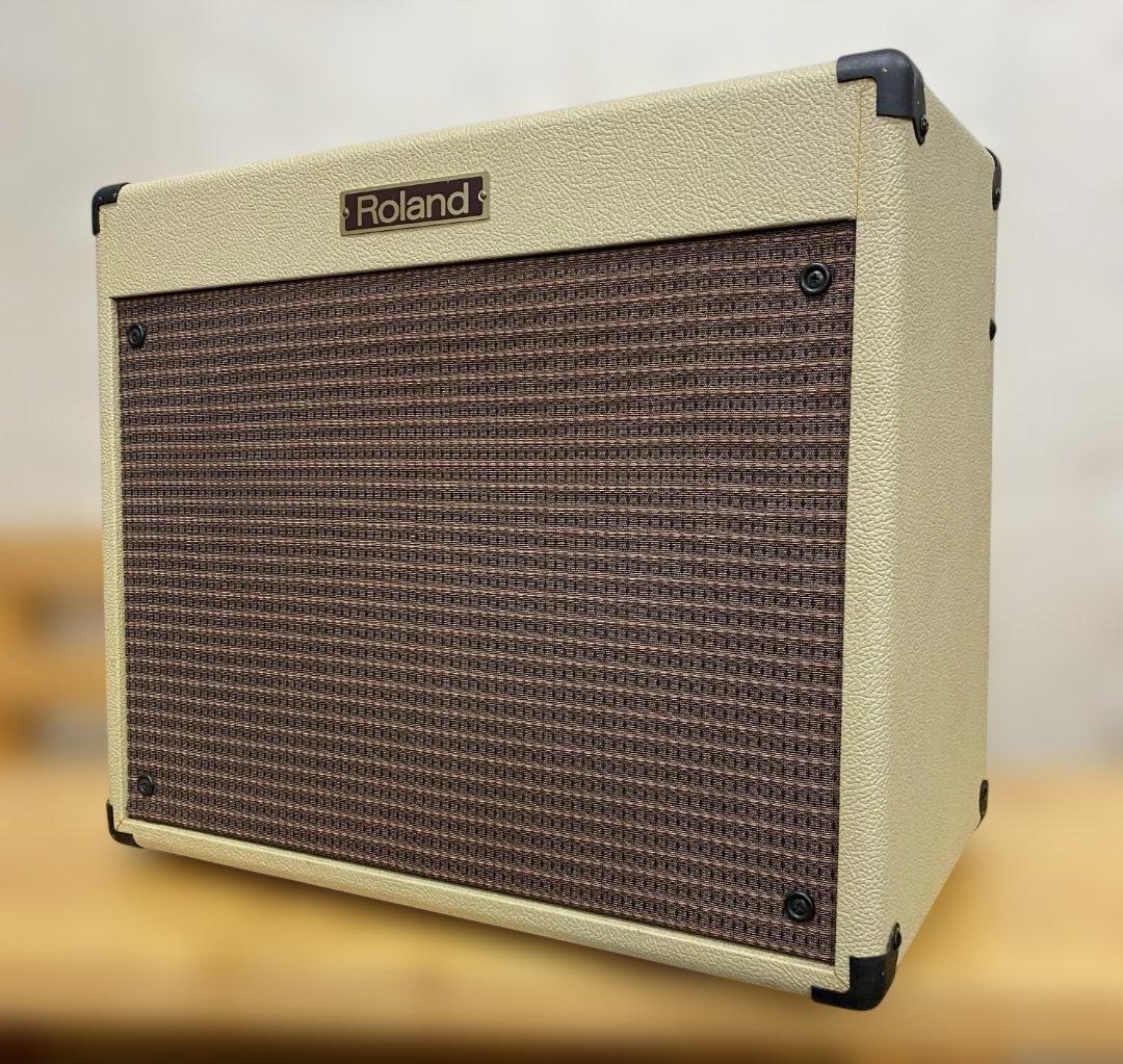 Roland Guitar Amplifiers Bc60