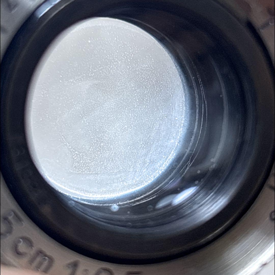 Other Leica Hektor L F2.5
