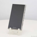 Lecteur audio numérique Sony Walkman A100 32 Go + Microsd Nw-A106 295