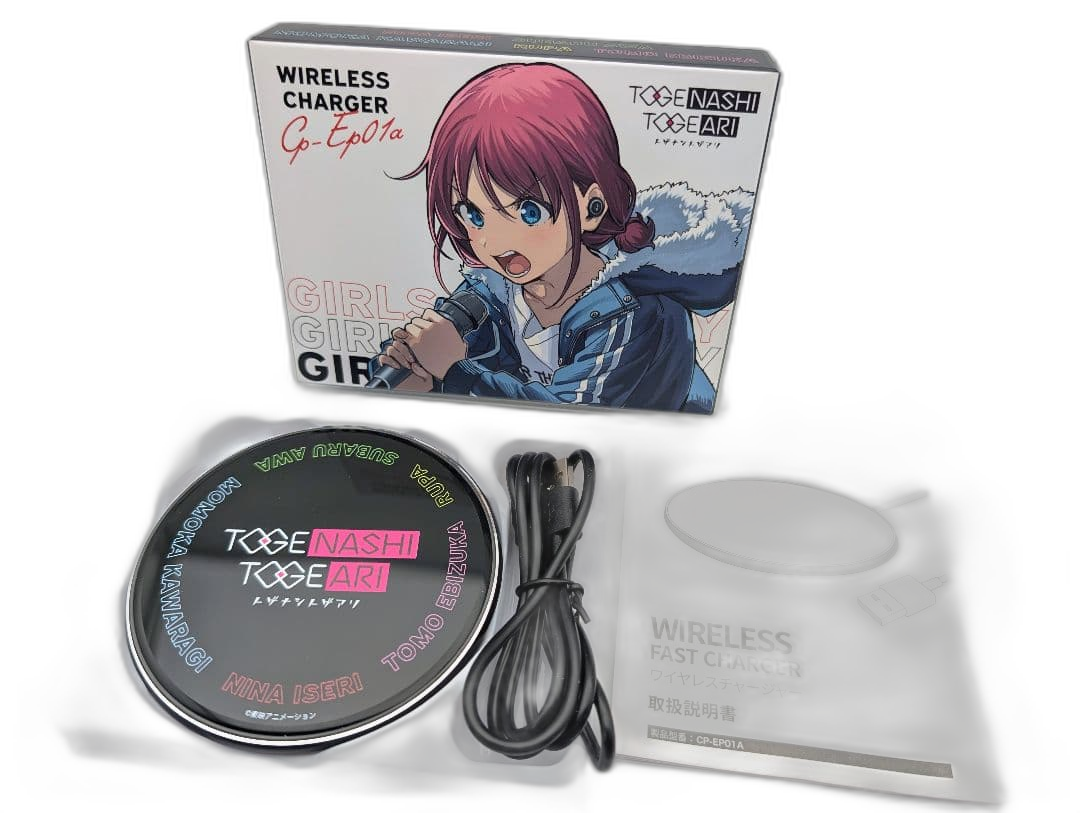 Power Adapter Charger Onkyo