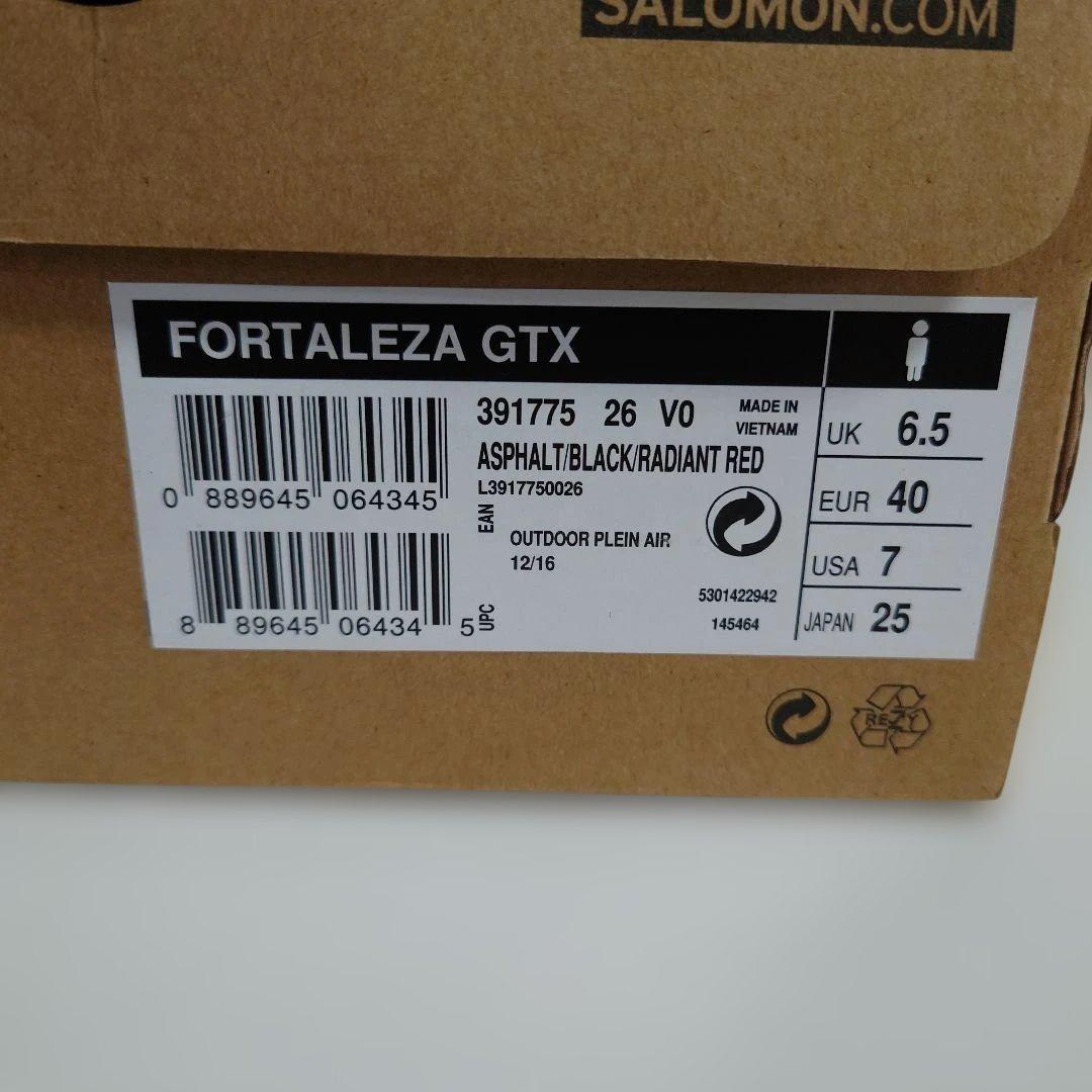 Sneakers Salomon Fortaleza Gtx
