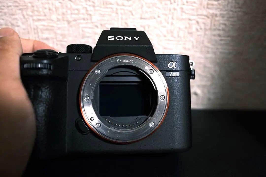 Sony Mirrorless Interchangeable Lens Cameras 7Iii