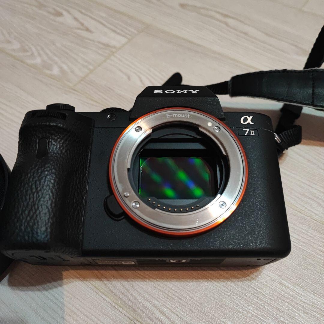 Sony Mirrorless Interchangeable Lens Cameras 7Ii