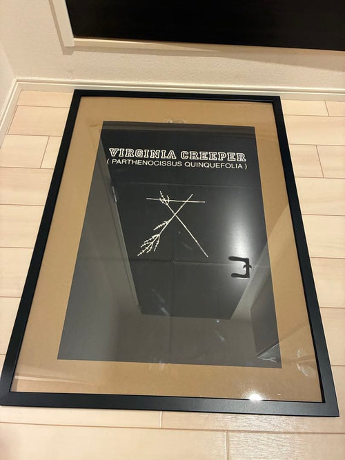 Posters Raf Simons Virginia Creeper