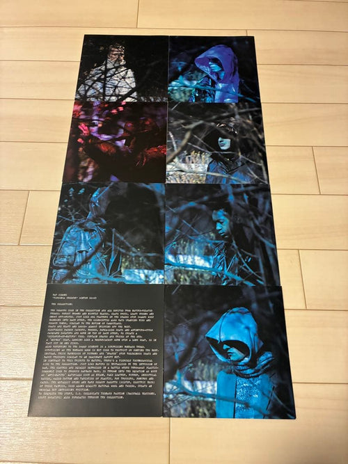 Posters Raf Simons Virginia Creeper