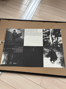 Posters Raf Simons Virginia Creeper