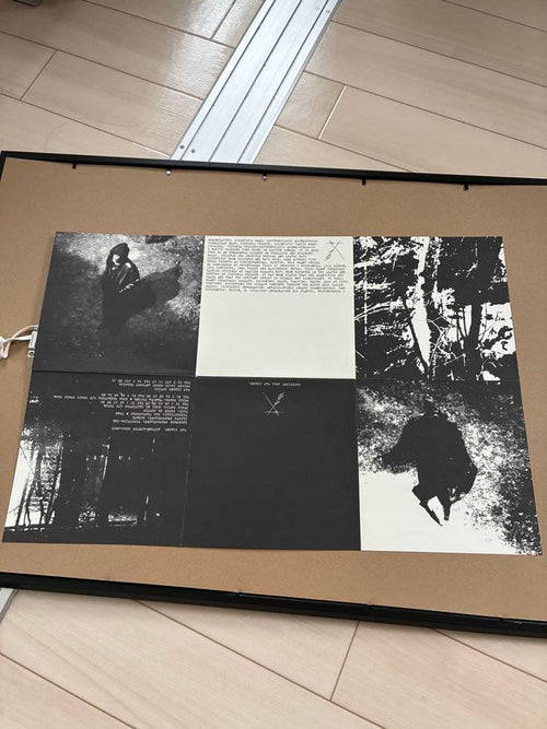 Posters Raf Simons Virginia Creeper