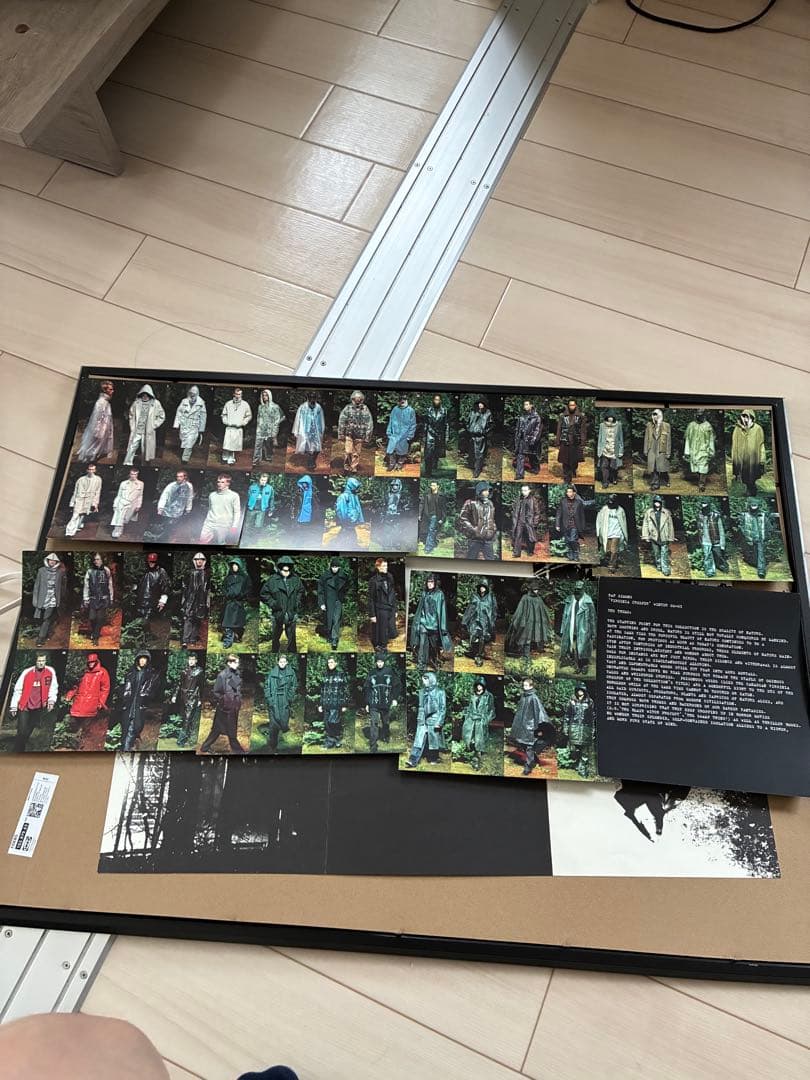 Posters Raf Simons Virginia Creeper