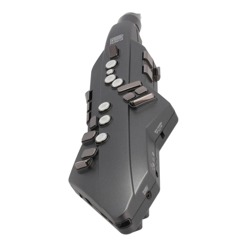Roland Others /Aerophone Go Ae-05 Ab 05