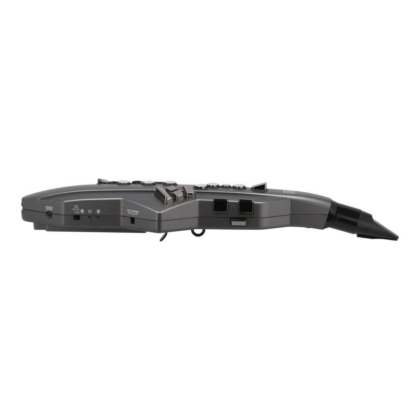Roland Others /Aerophone Go Ae-05 Ab 05