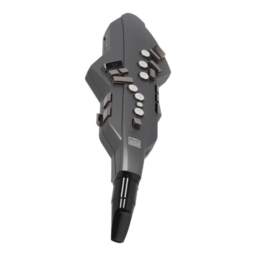 Roland Others /Aerophone Go Ae-05 Ab 05