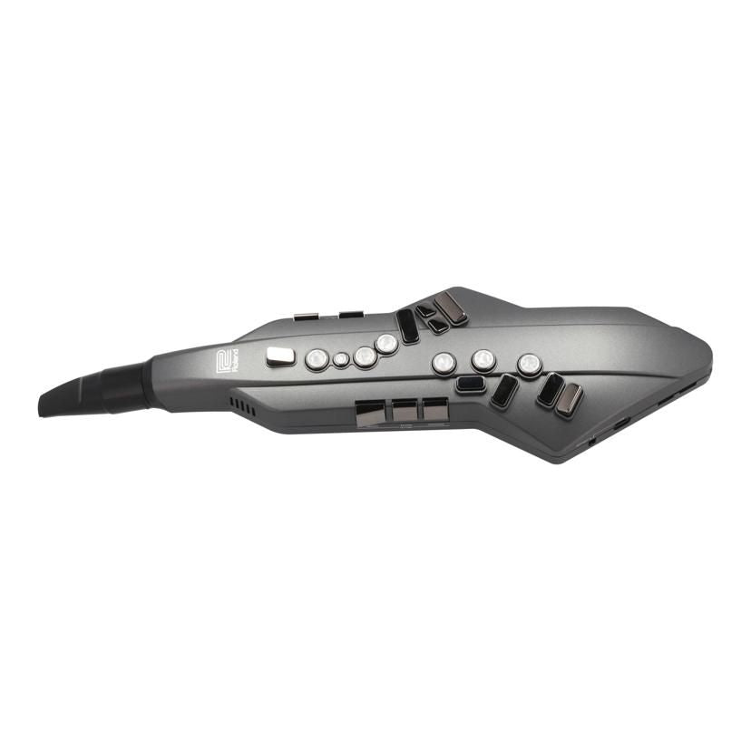 Roland Others /Aerophone Go Ae-05 Ab 05