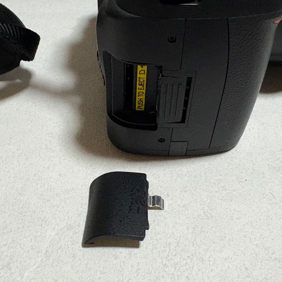 Nikon Digital Slrs D40X