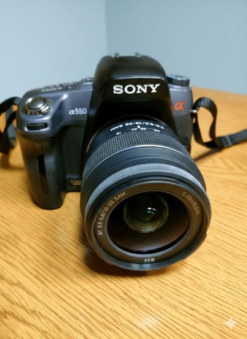 Sony Digital Slrs 550