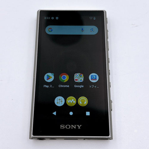 Sony Digital Audio Players Walkman Nw-A306 32Gb