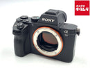 Mirrorless Interchangeable Lips 7Ii [Ilce-7M2]