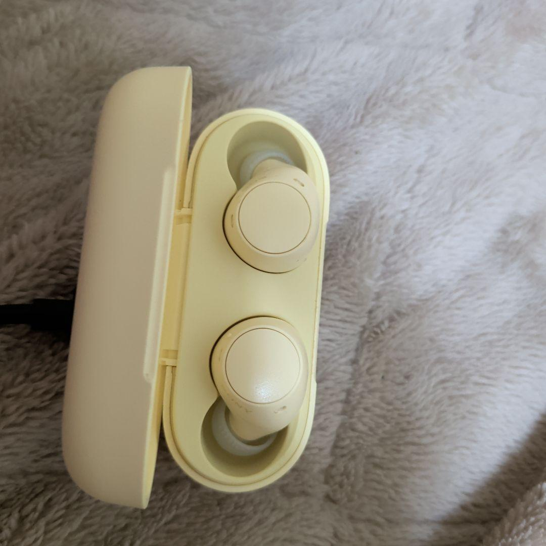 Earphone Case