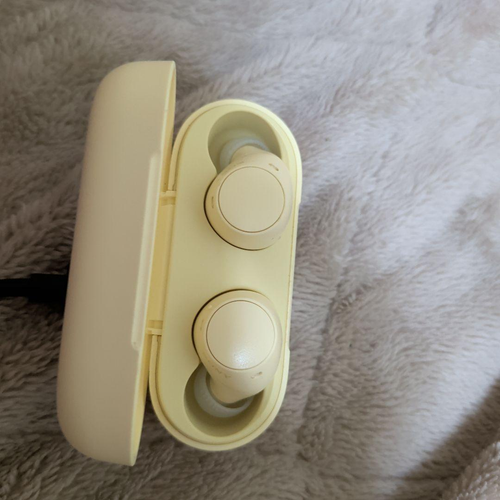 Earphone Case