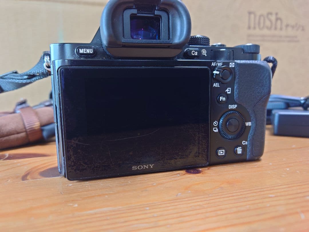 Sony Mirrorless Interchangeable Lens Cameras 7 3