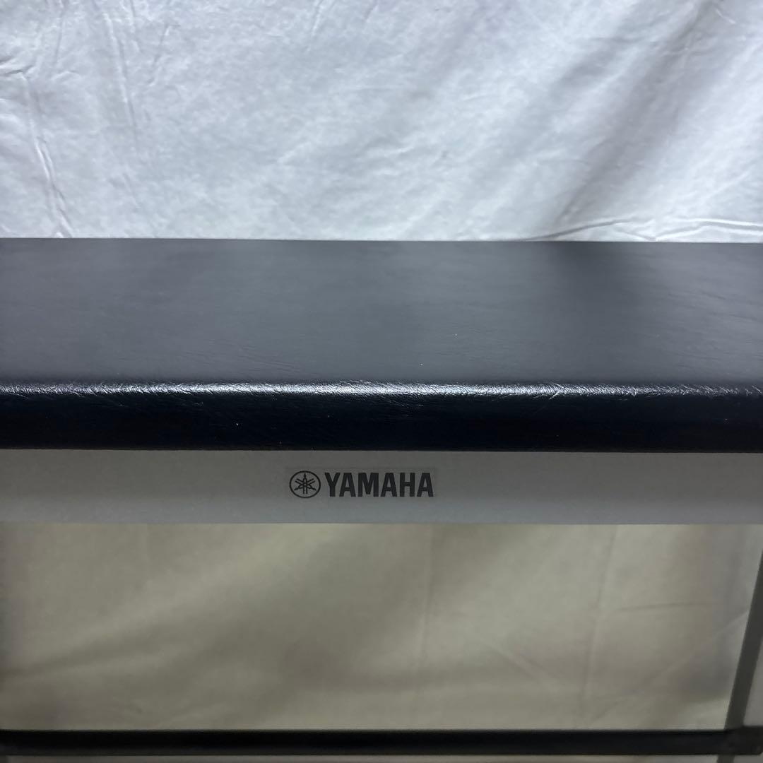Yamaha Electronic Organs Els-02 Els-02C