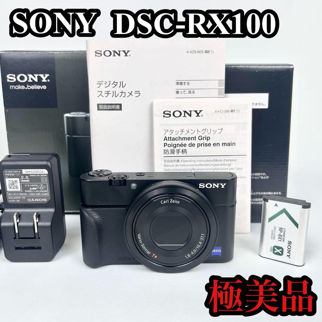 Sony Compact Digital Camera Dsc-Rx100