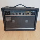 Roland Guitar Amplifiers Jazz Chorus-22