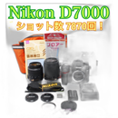 Nikon Digital Slr D7000