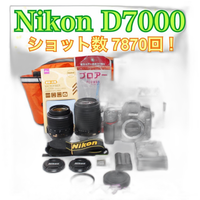 Nikon Digital Slr D7000