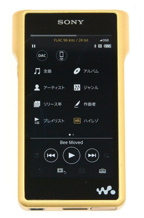 Sony Digital Audio Player Nw-Wm1Z