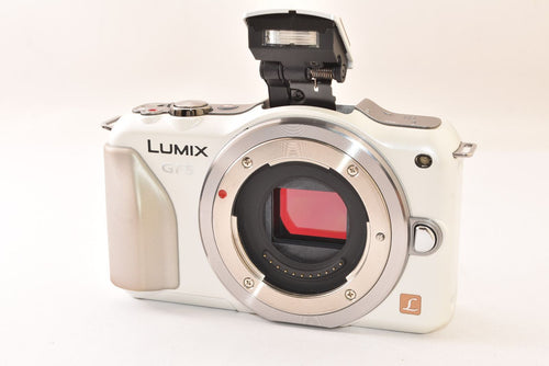 Panasonic Mirrorless Interchangeable Lips Lumix Dmc-Gf5 J2604059