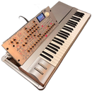 Korg Others Radias